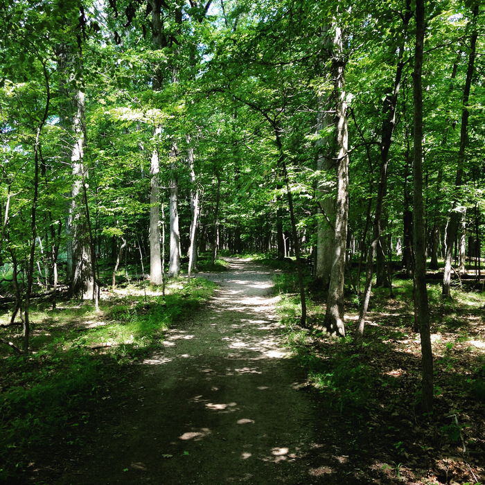 Kensington Metropark - 2015 Photo